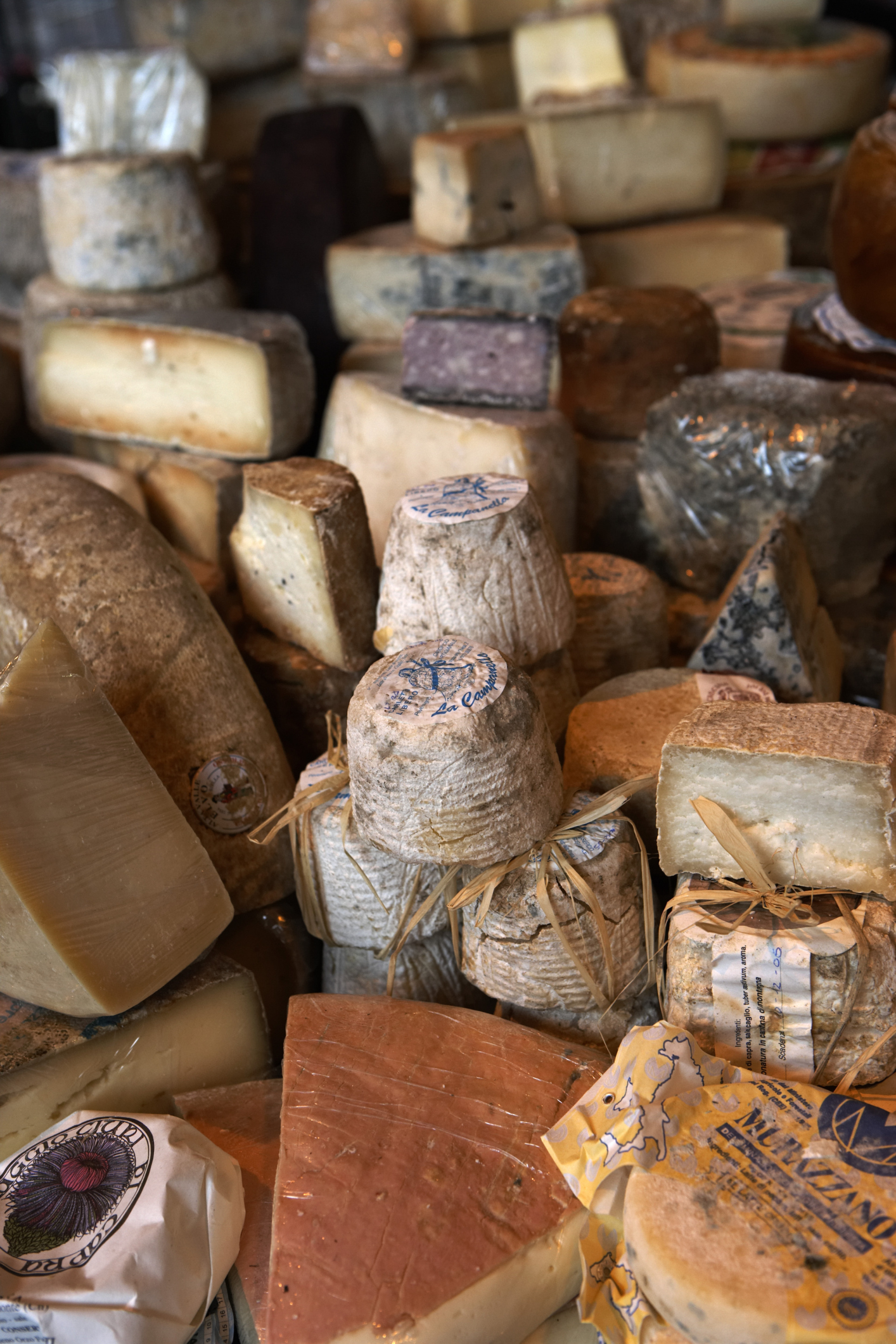 This Common Cheese Could Trigger Your Penicillin Allergy - 0zgcfi3