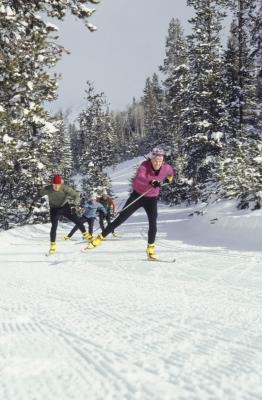 Nordic Combined History | LIVESTRONG. Nordic Combined History | LIVESTRONG.