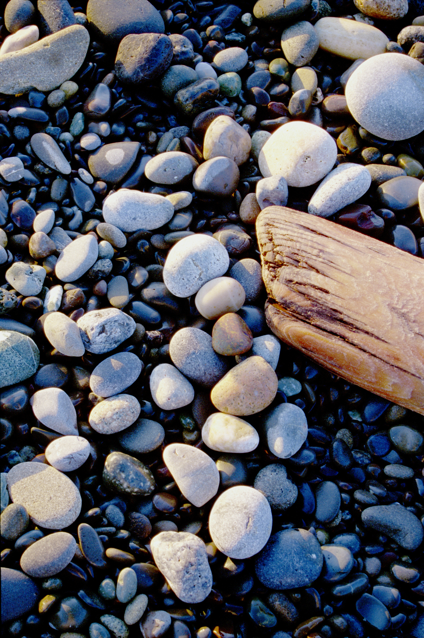 How to Cure Driftwood