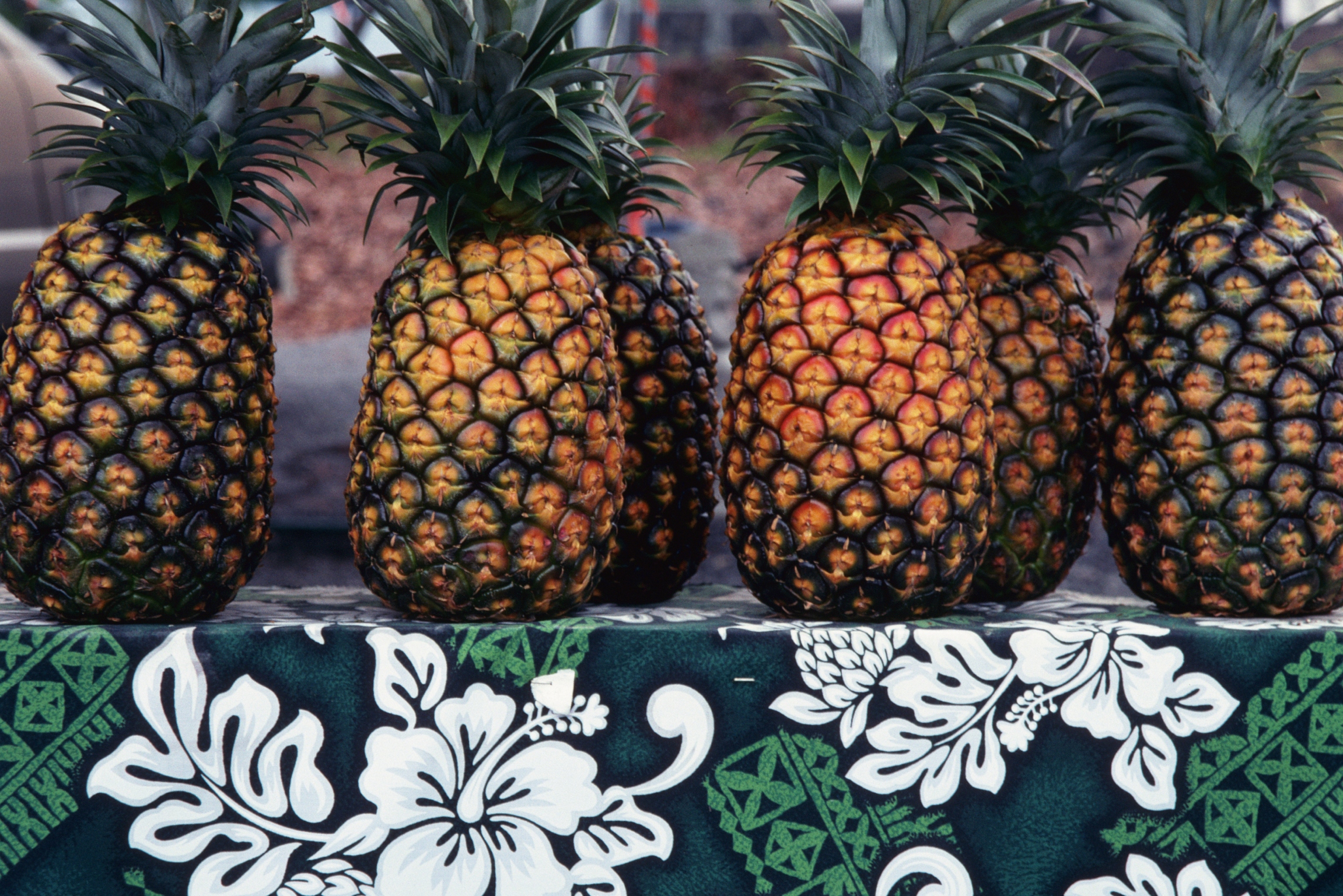 What Is the Name of the Diet Pills Made From Pineapple? Healthfully