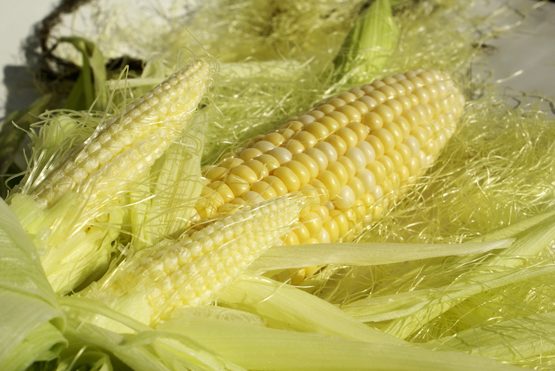 Corn stigmas help to lose weight and improve health Corn stigmas help to lose weight and improve health