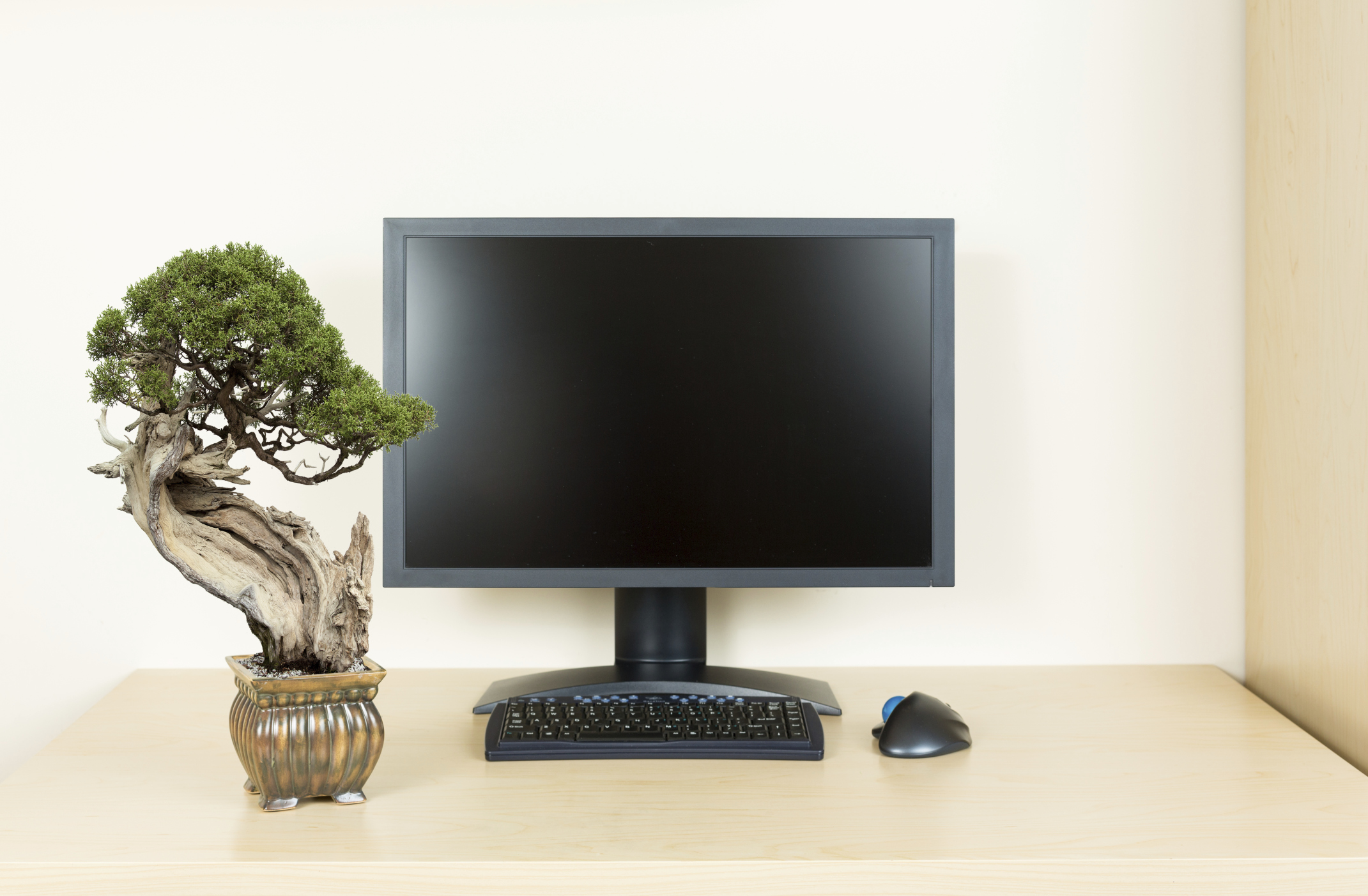 How to Create a ZenLike Cubicle Career Trend