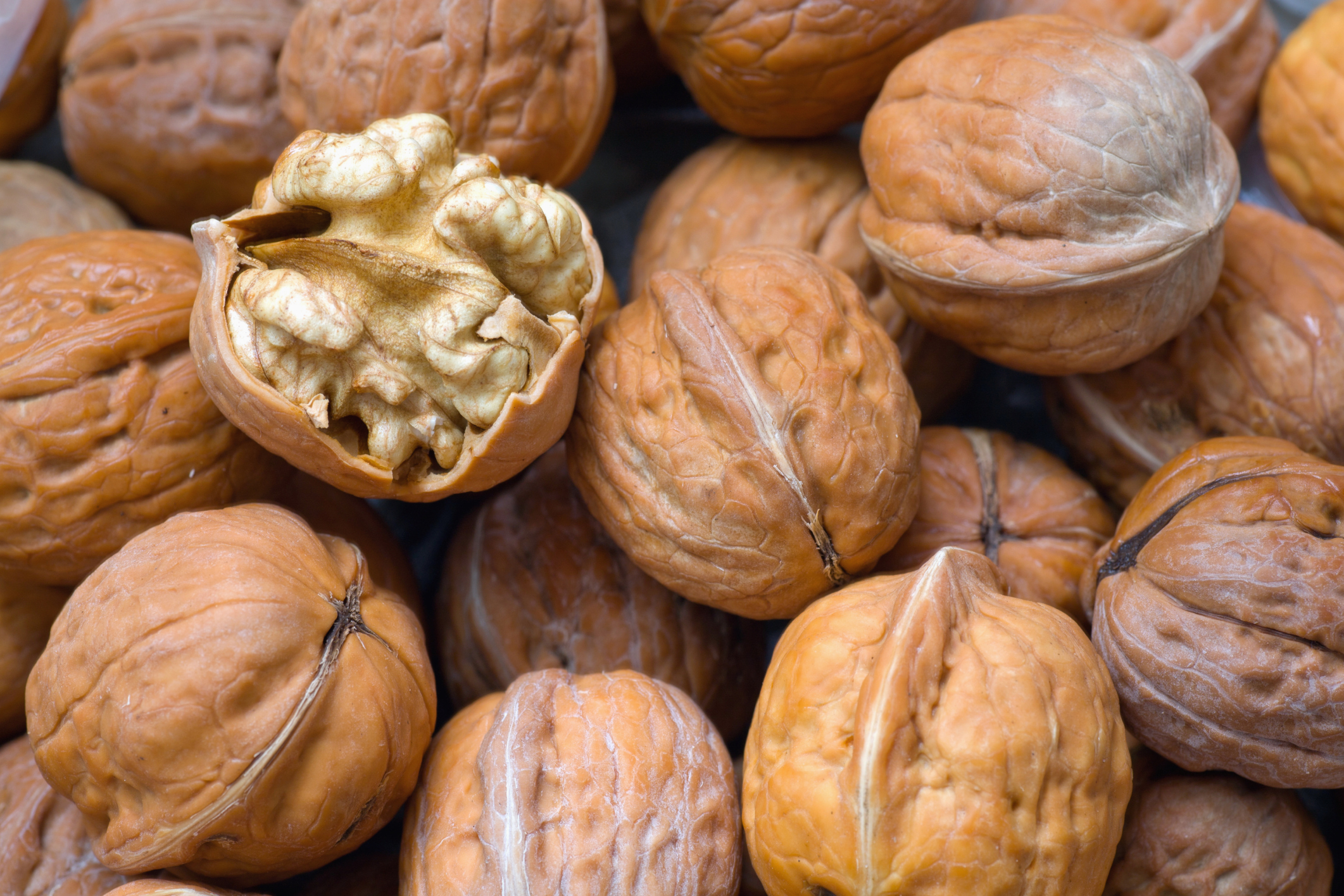 What Is the Serving Size for Hazelnuts? Healthfully