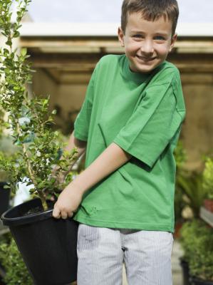 How to Plant Trees With Peat Moss | Home Guides | SF Gate