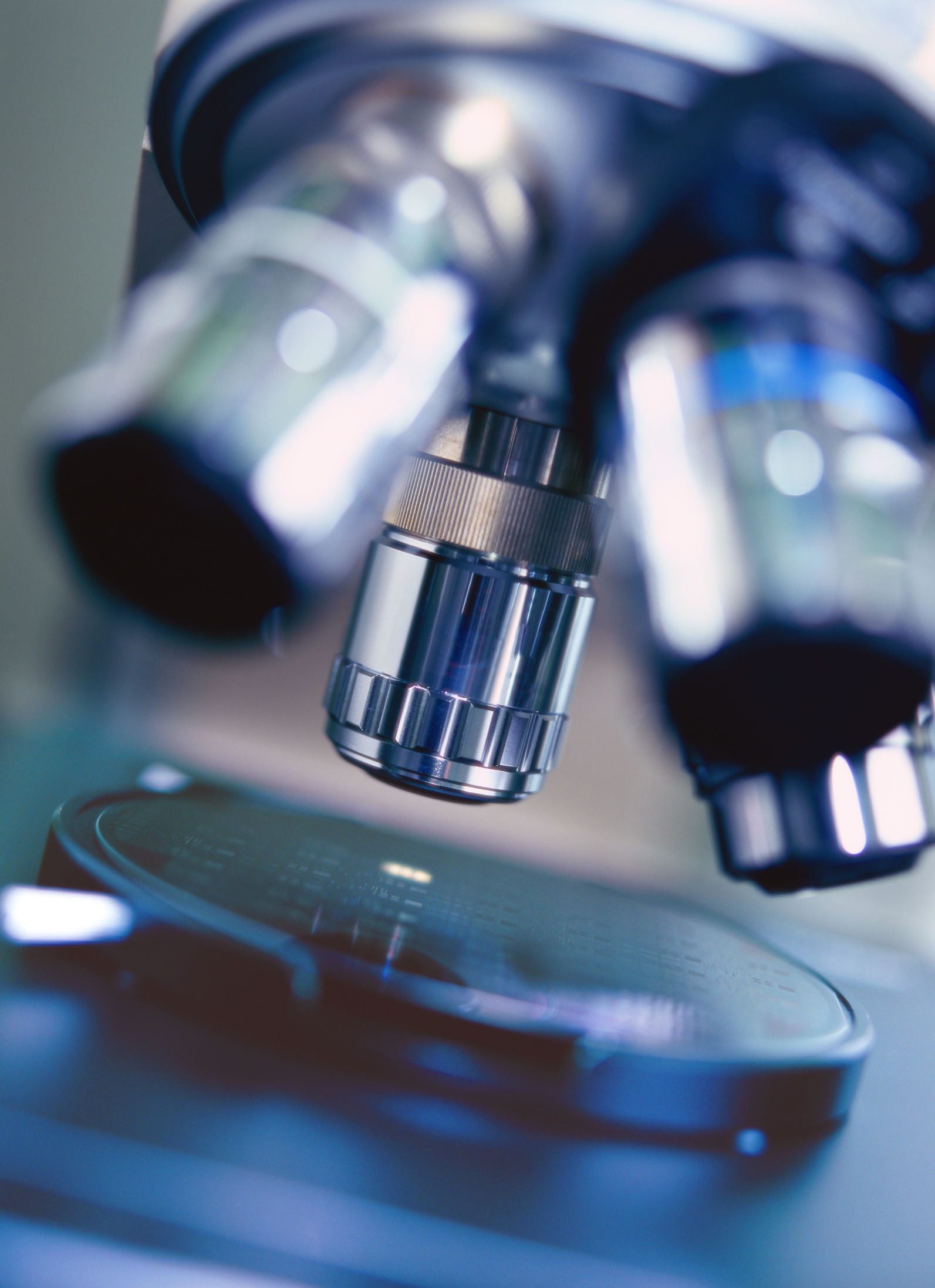 Simple Microscope Experiments Sciencing