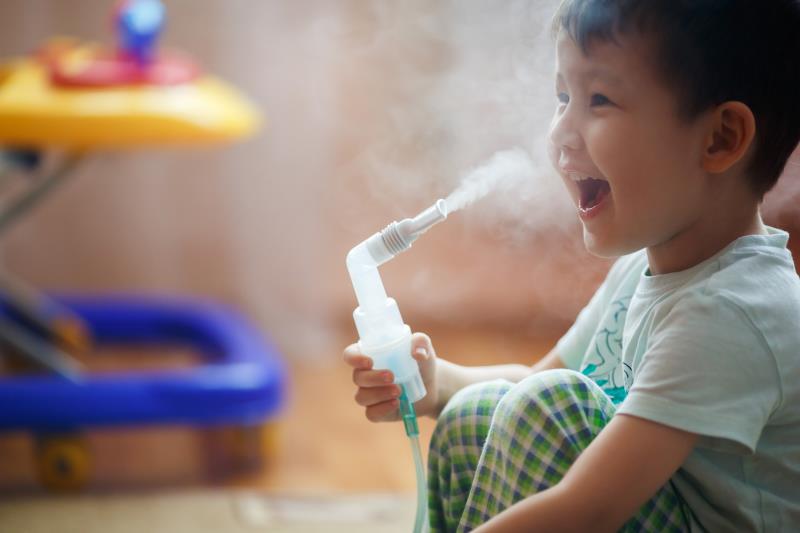 nebulizer works க்கான பட முடிவு