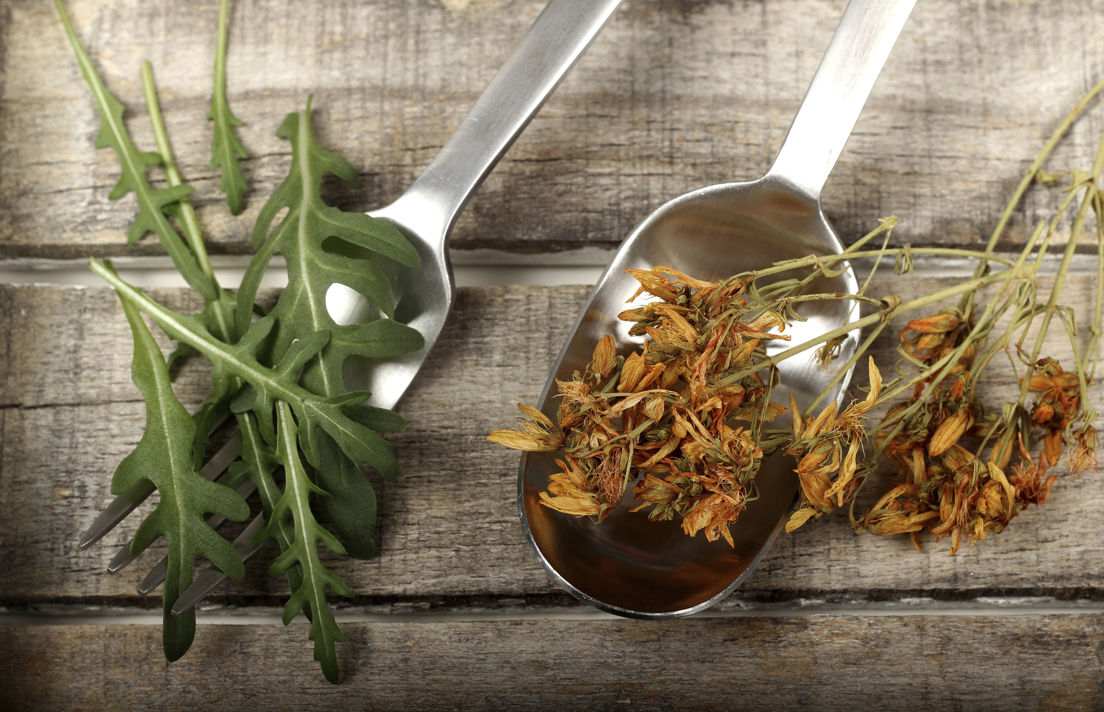 Herbology Degree Programs Healthfully