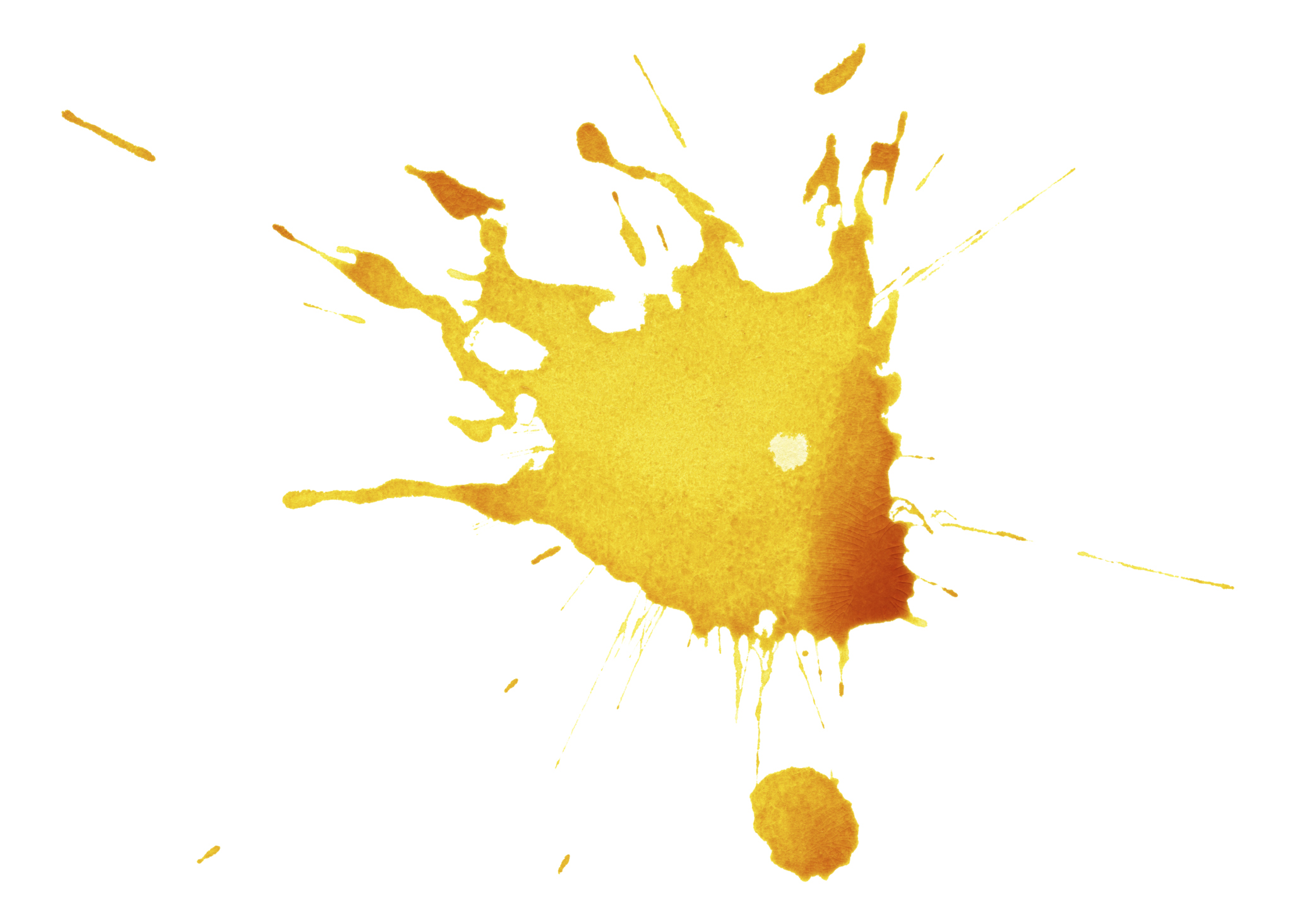 How Do You Get Dog Vomit Out Of A Oriental Rug