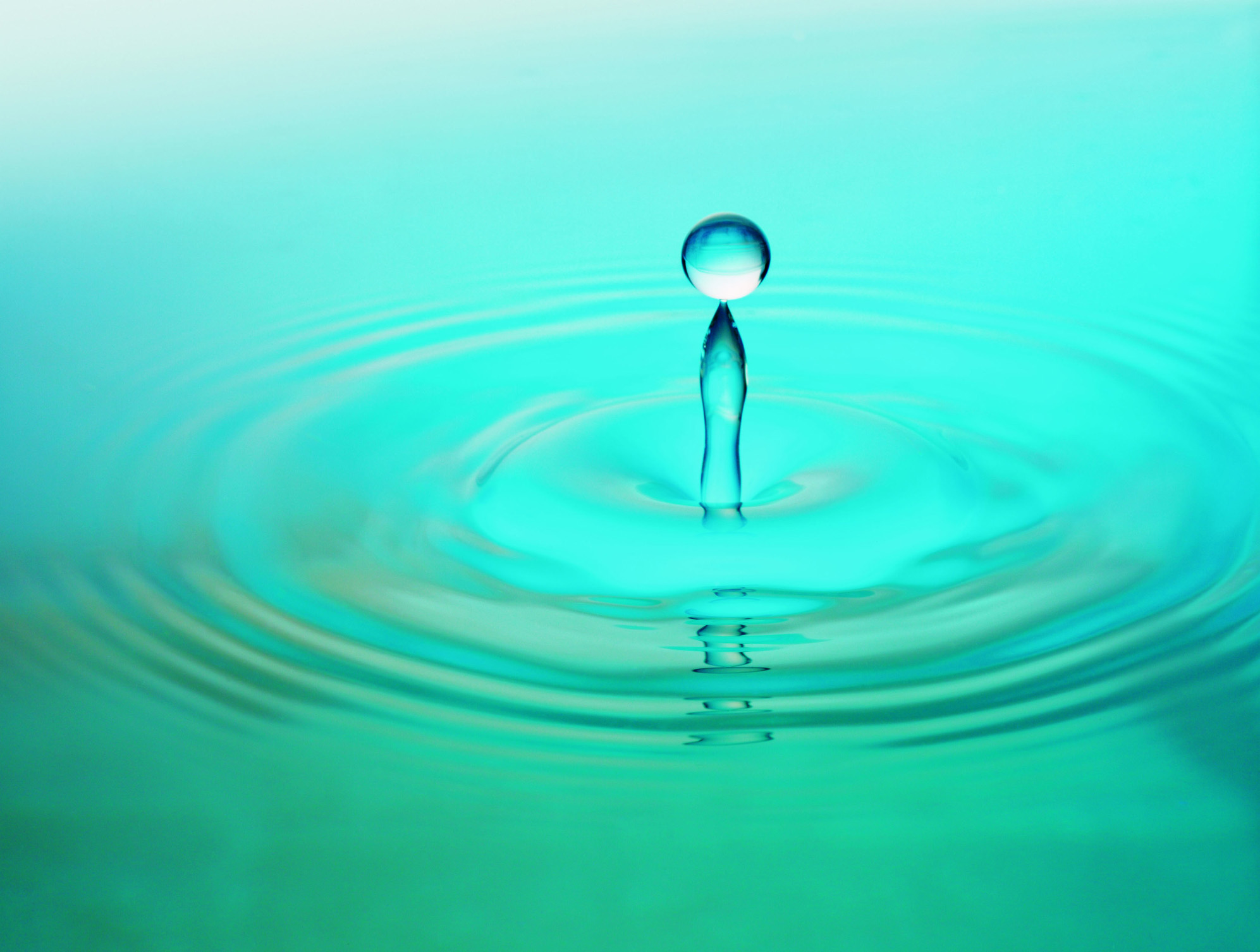 Does Drinking a Lot of Green Tea Count as Drinking Water? Healthy