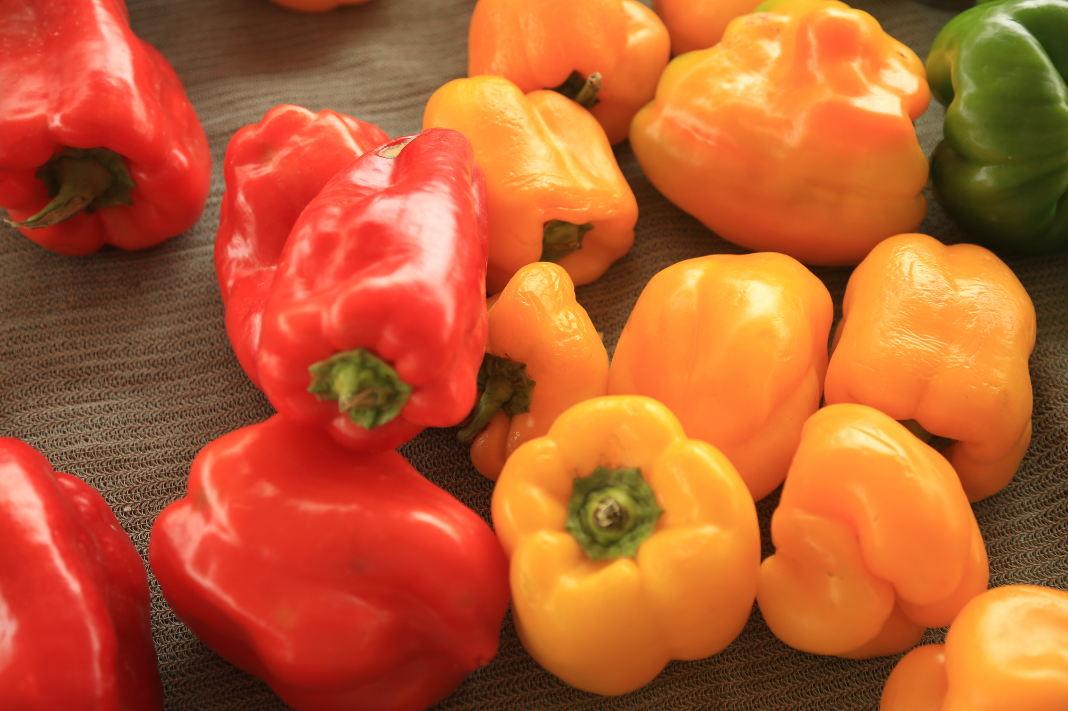 low-iron-levels-low-b-12-levels-healthfully