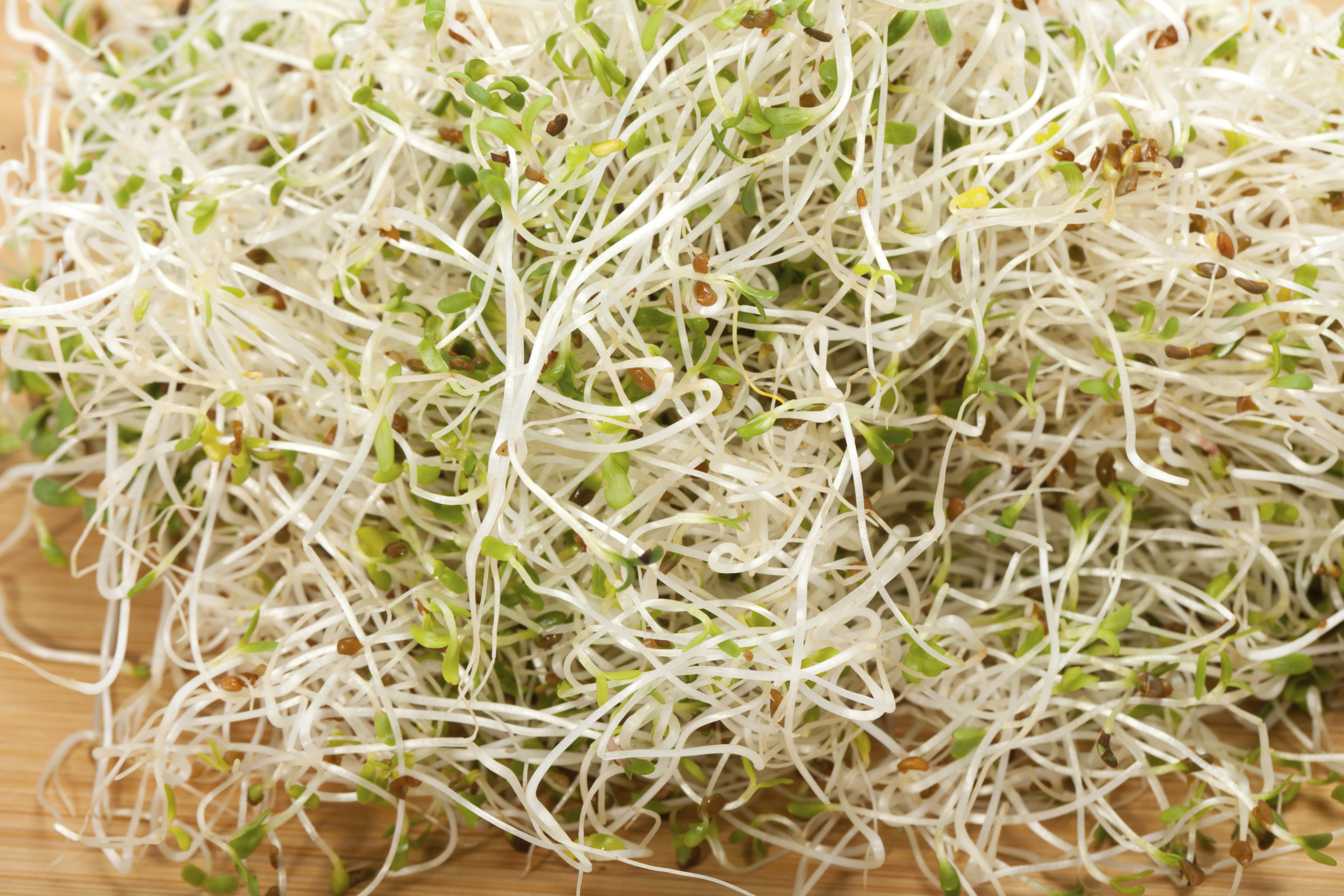 What Are the Benefits of Alfalfa Grass? Healthfully