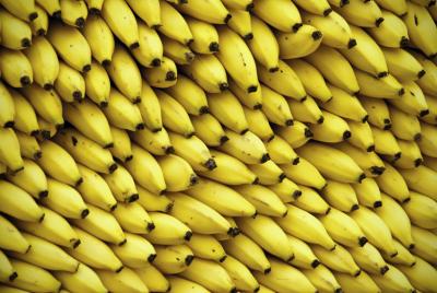 Top Ten Health Benefits of Bananas