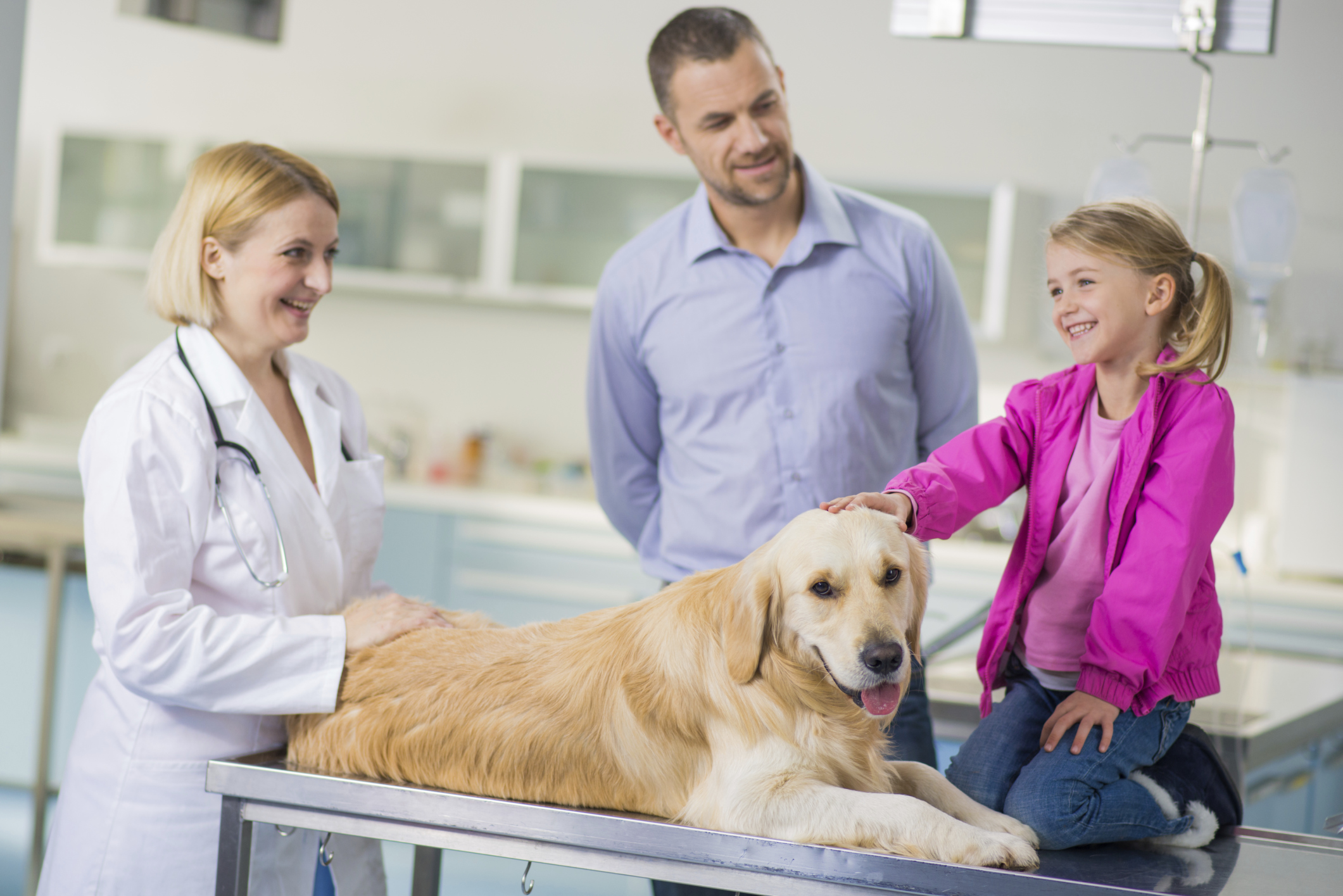 Vet Tech Job Duties Resume