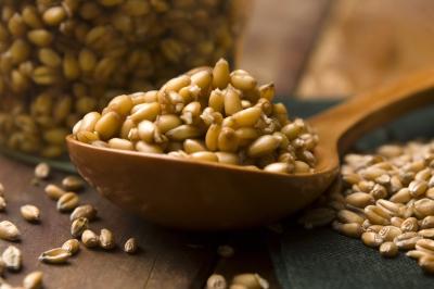 Wheat germ benefits and side effects