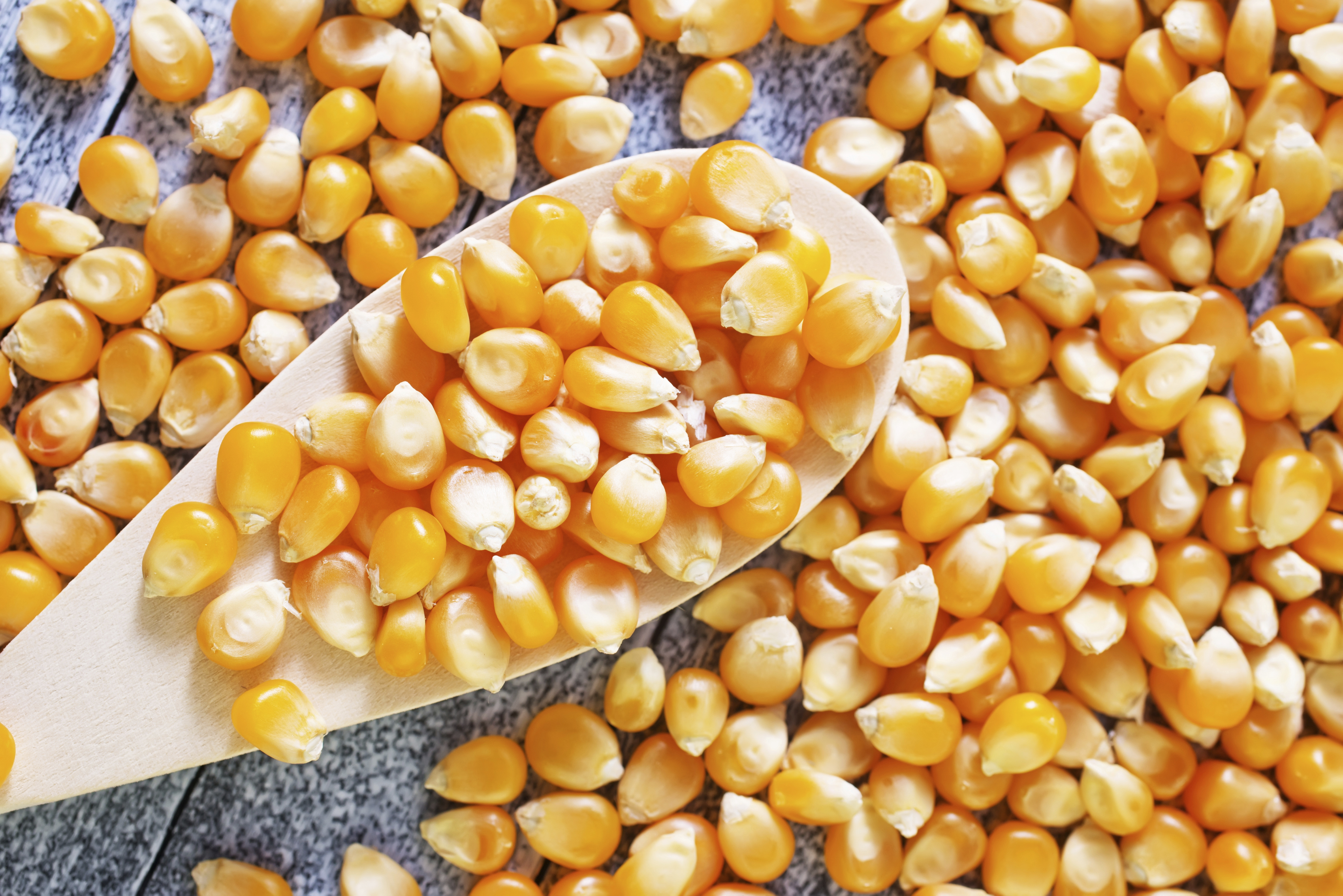 Getty Images/iStockphotoWhat to Fill Homemade Draft Stoppers