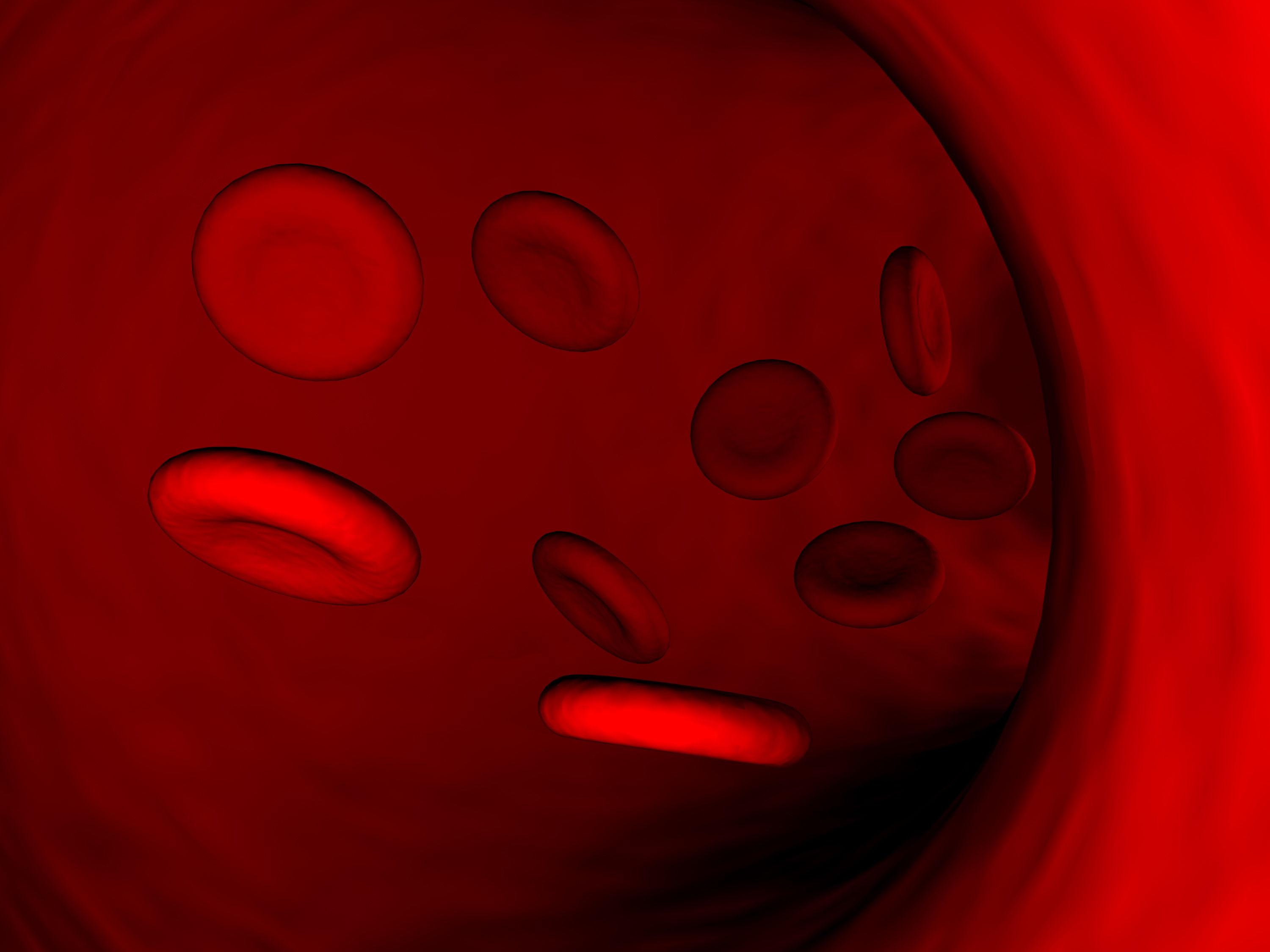 What Foods Can Increase Your White Blood Cell Count What Foods Can Increase Your White Blood Cell Count