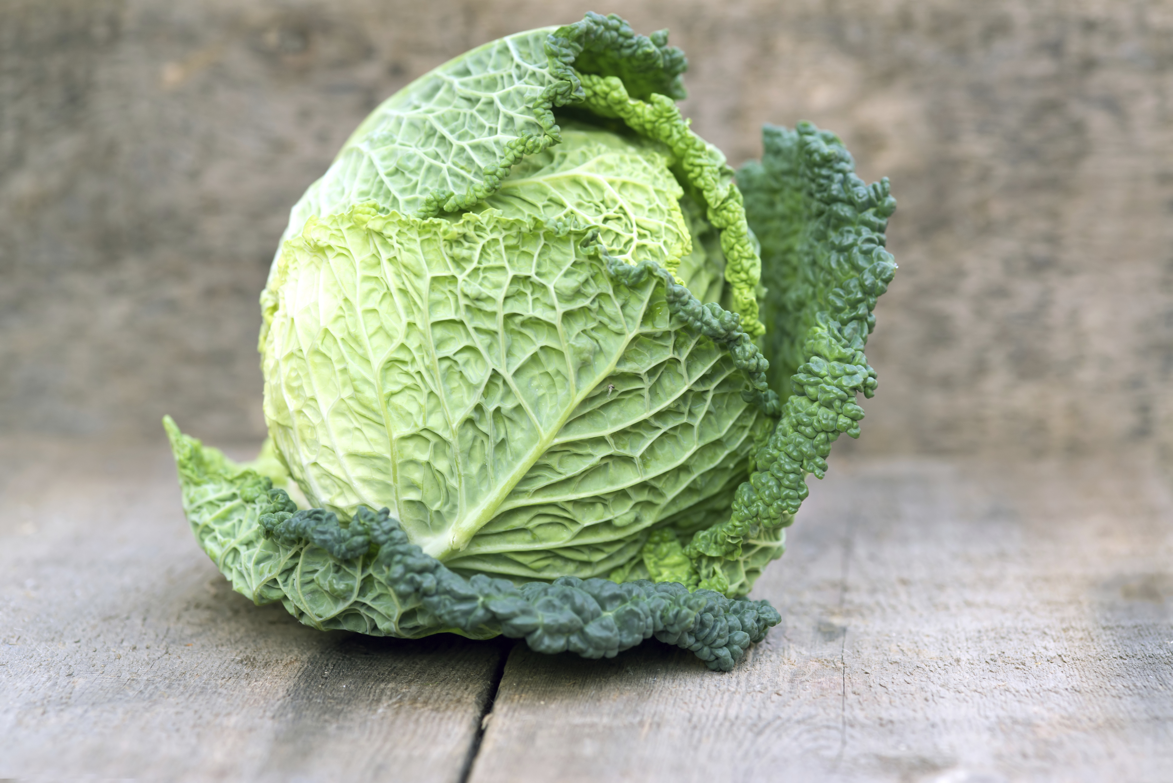 green cabbage nutrition