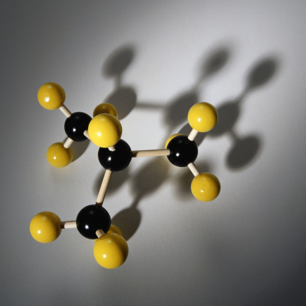 Description of the Basic Functions of Enzymes in Cells Sciencing