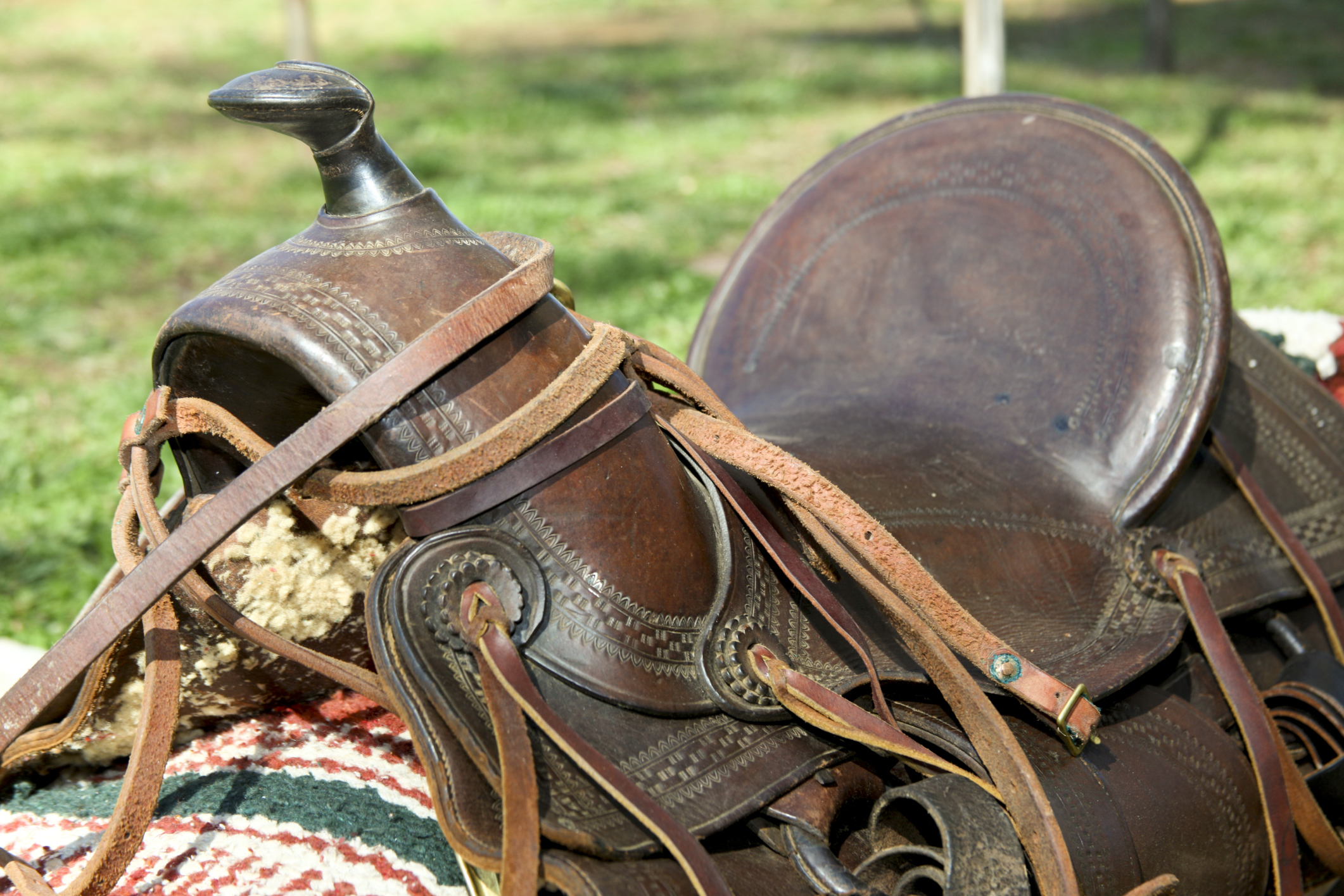 How To Measure The Gullet Size For A Western Saddle Animals Mom me