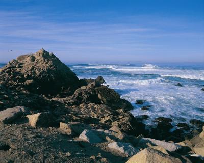 Best Dog Friendly Hotels Carmel Ca Best Dog Friendly Hotels Carmel Ca