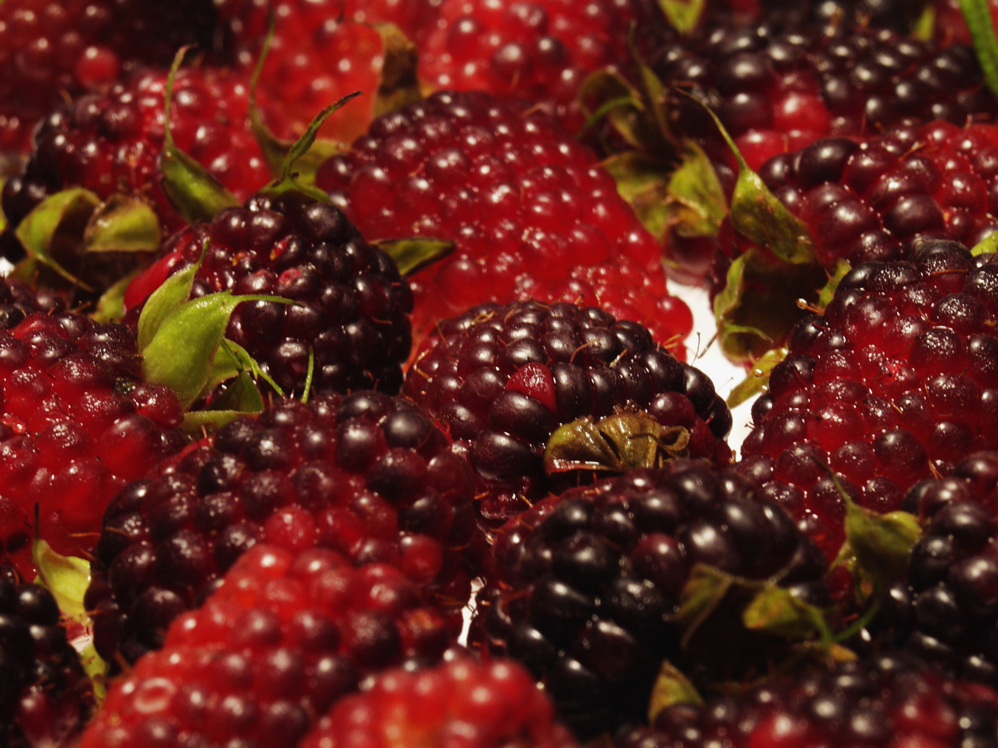 Benefits From Blackberry Juice Healthfully