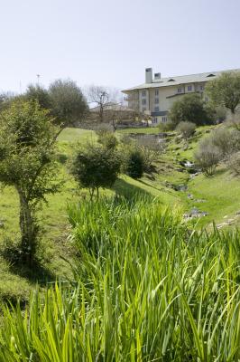 The Best Ground Cover for a Drainage Ditch | Home Guides | SF Gate