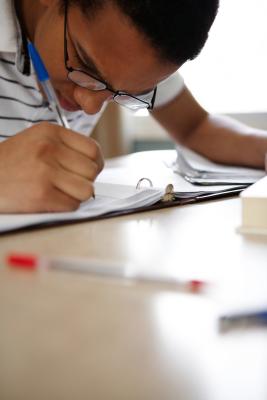 i have never written an essay i have never written an essay