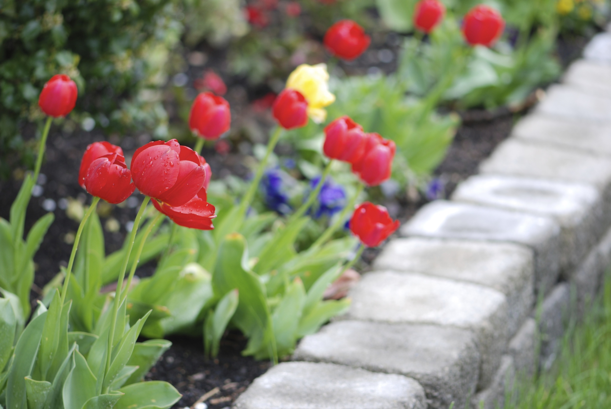 How To Landscape With Uneven Ground
