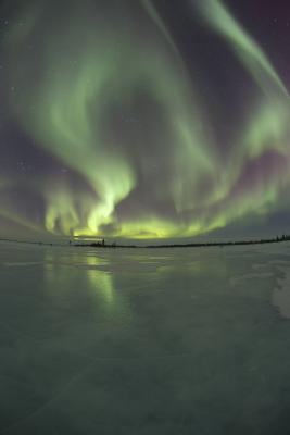 alaska northern lights cruises alaskan cruise vacation travel winter visit places destinations dream dates lines info usa borealis aurora