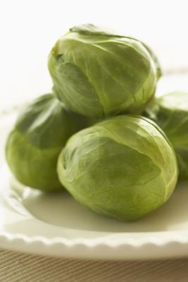 How to Naturally Control Aphids on Brussels Sprouts | Home Guides | SF Gate