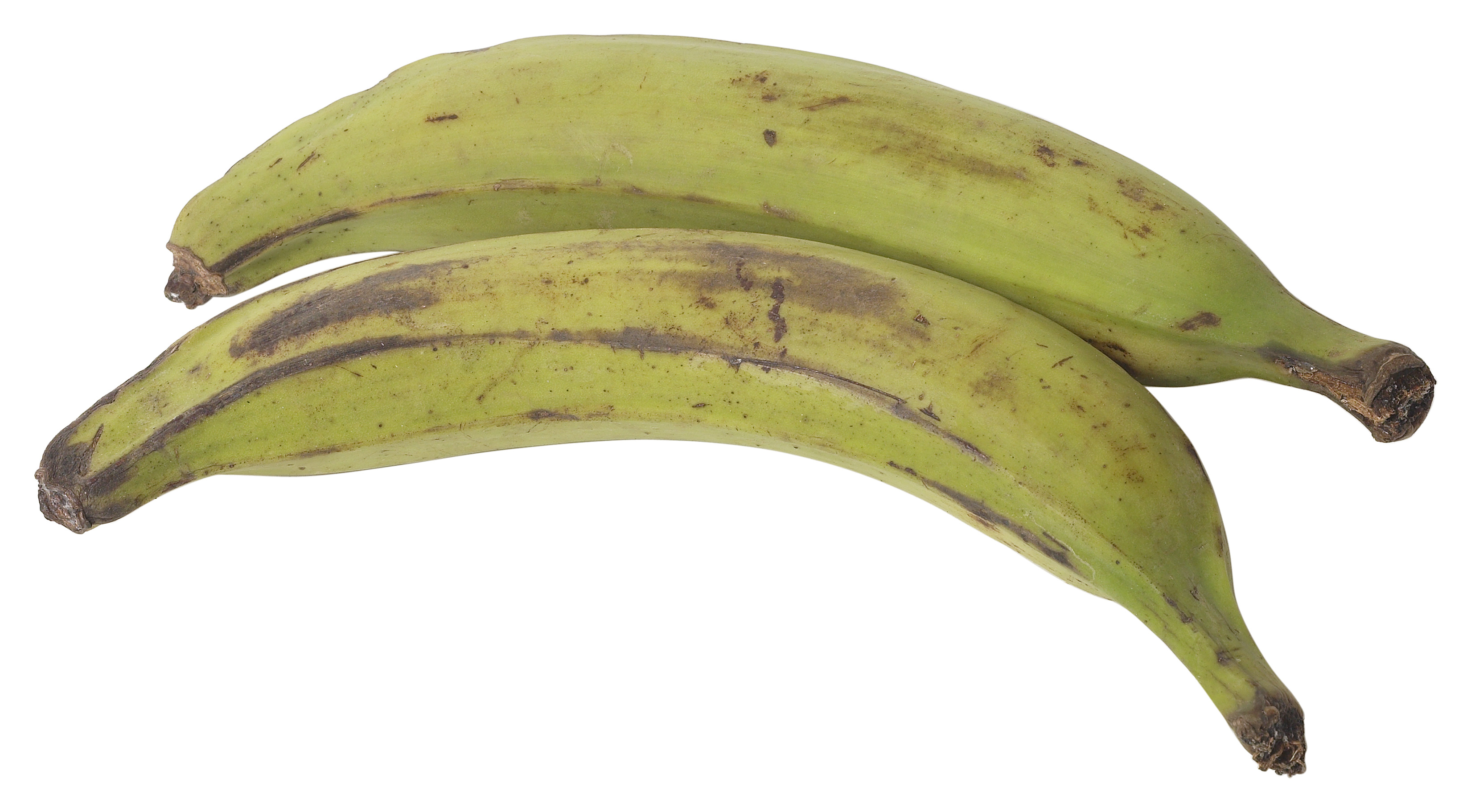 does-green-plantain-raise-your-blood-sugar-healthy-eating-sf-gate