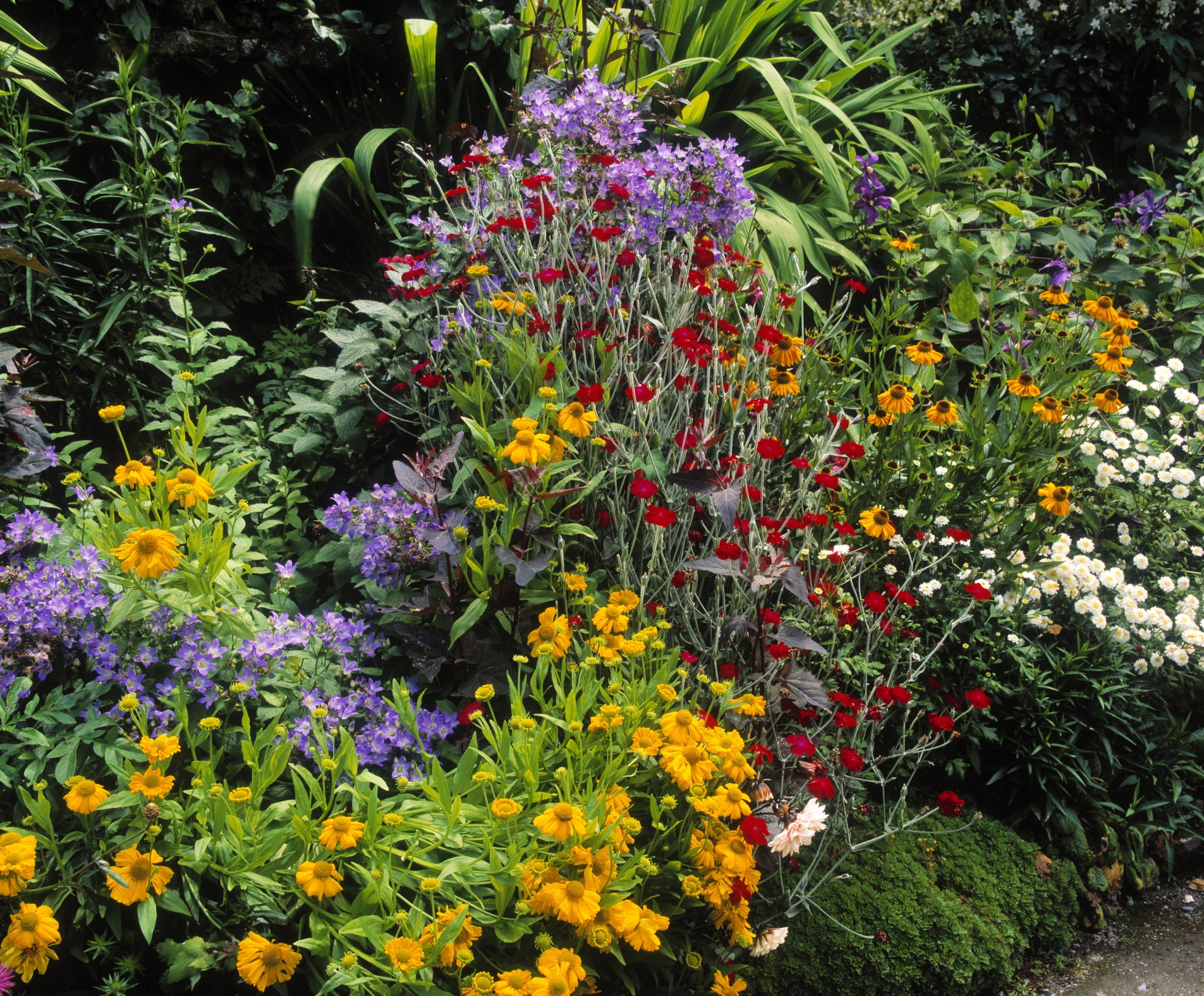 Recommended Size For A Flower Bed Hunker Recommended Size For A Flower Bed Hunker, How Wide Should A Border Garden Bed