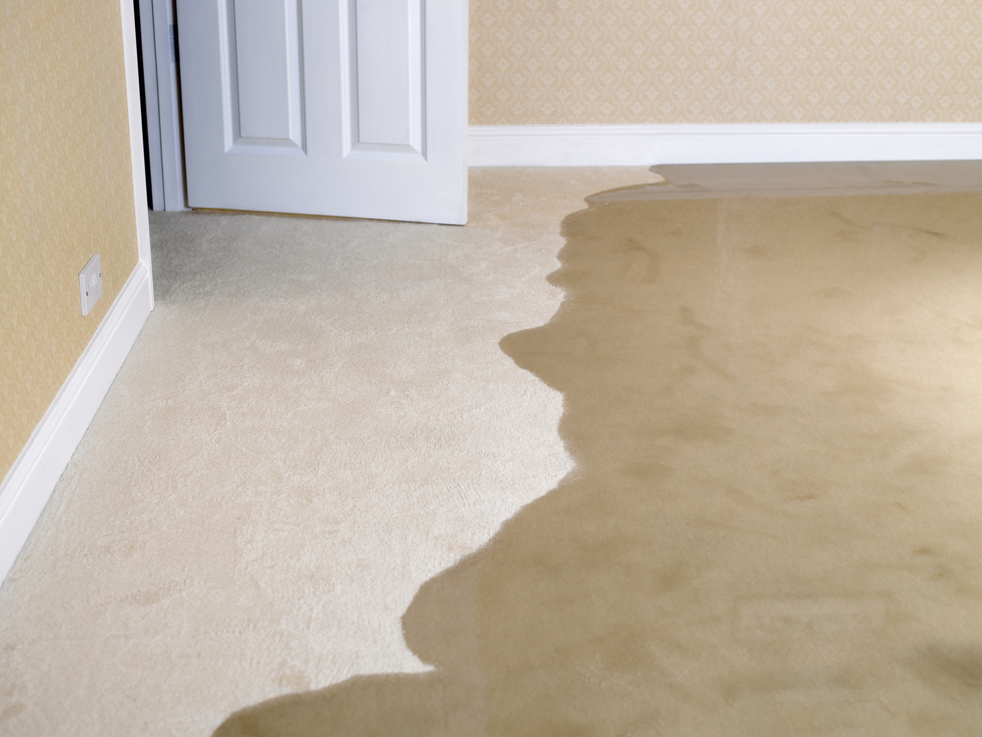 How To Clean Wet Carpets
