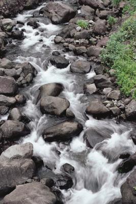 How to Design a Dry Stream Bed | Home Guides | SF Gate