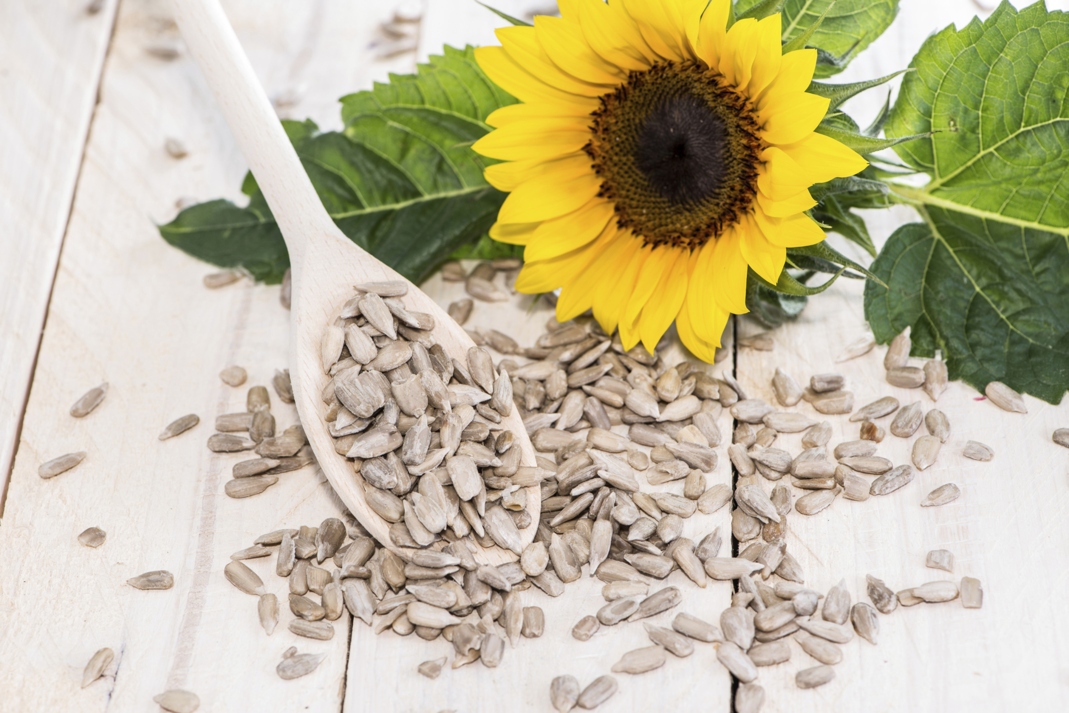 Foods Containing Nickel Healthy Living