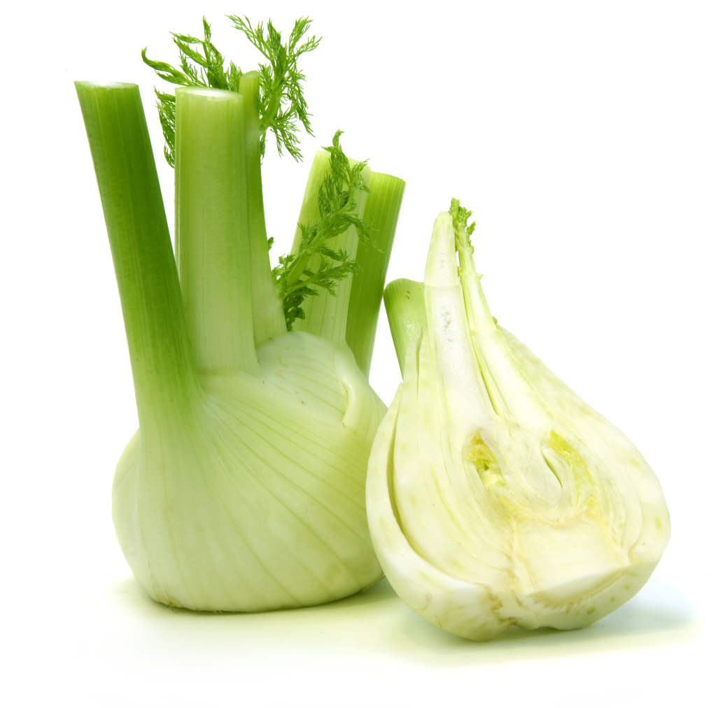 Fennel Nutrition Healthfully
