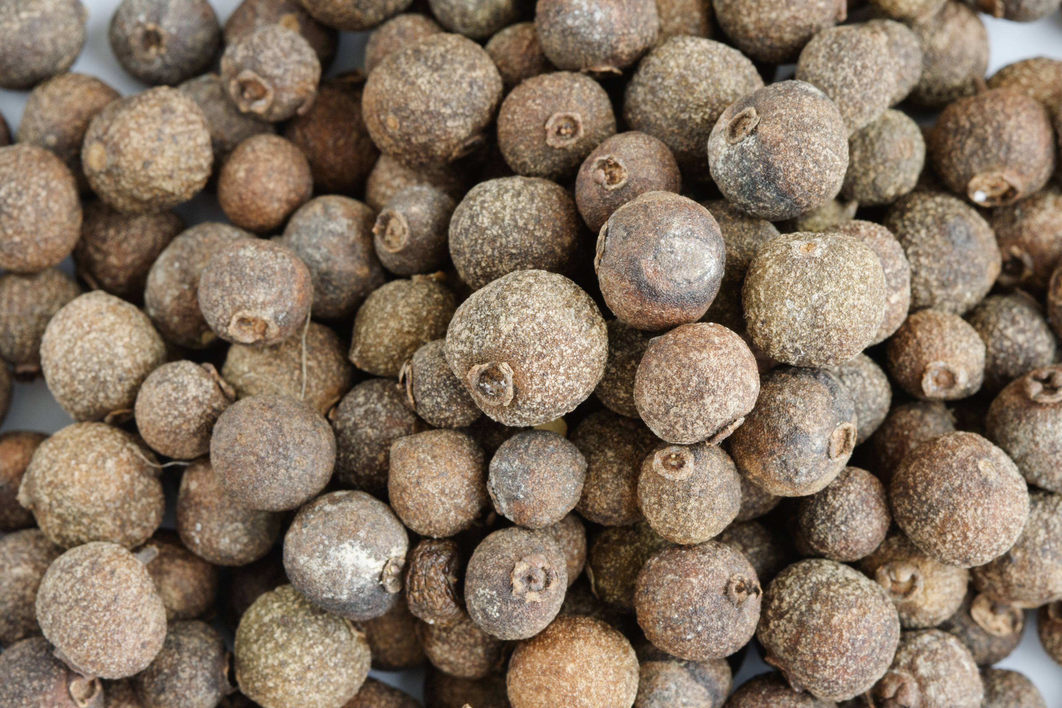 What Are the Health Benefits of Allspice? Healthfully