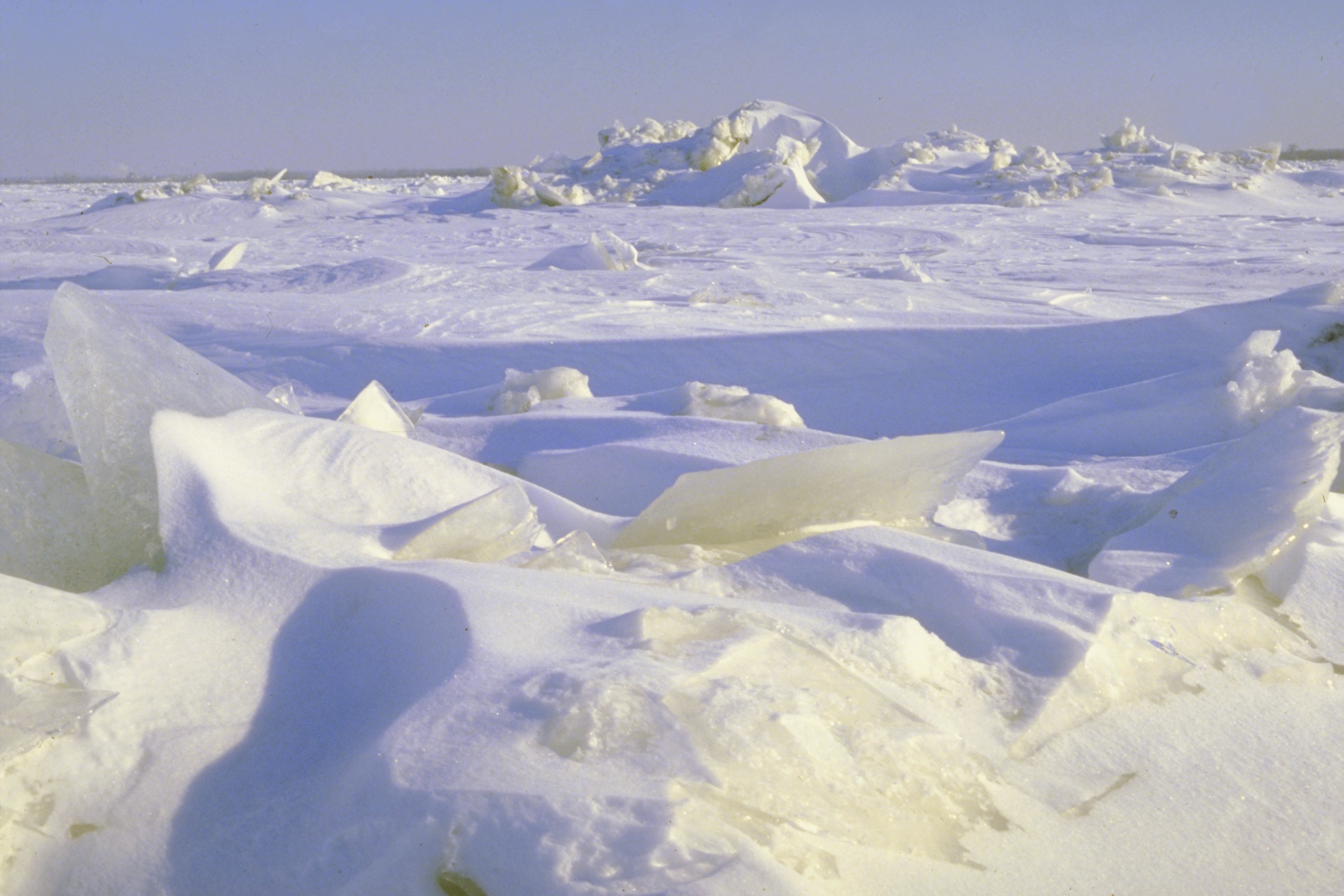 Why Is The Tundra Located In The Arctic