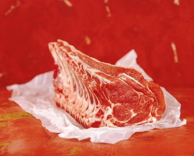 what is the paleo diet for