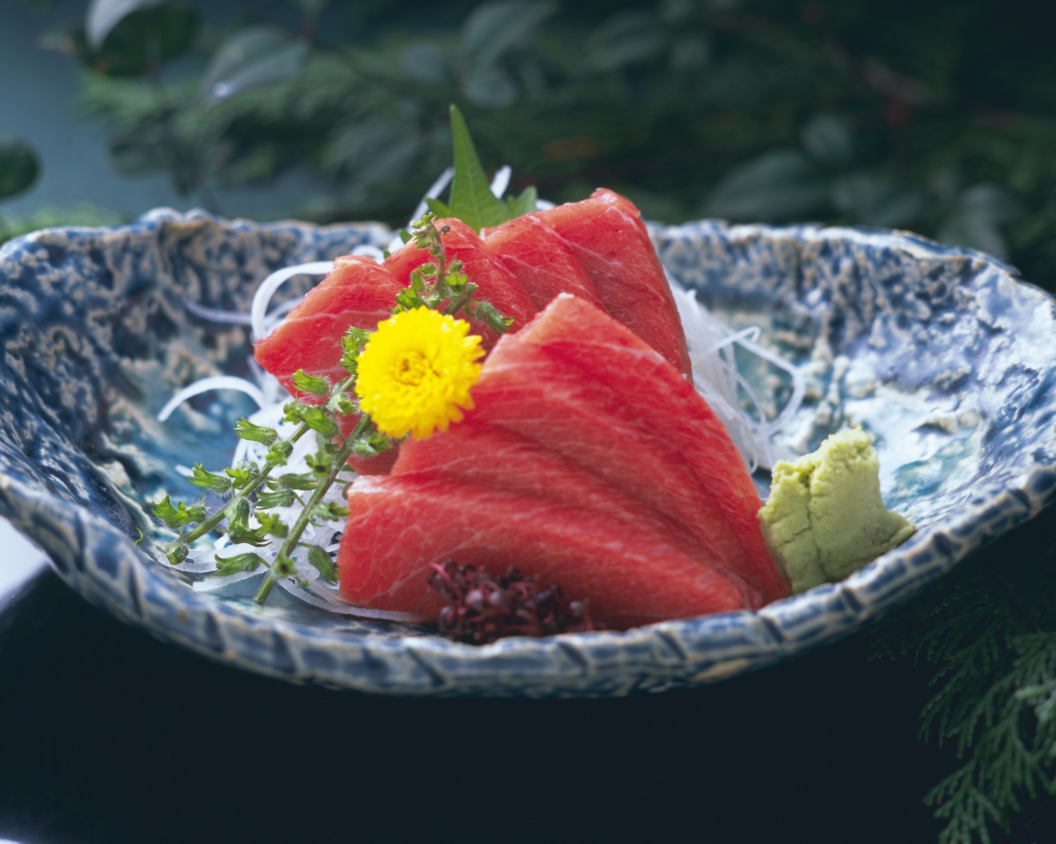 What Does Tuna Do for Your Body? Healthfully