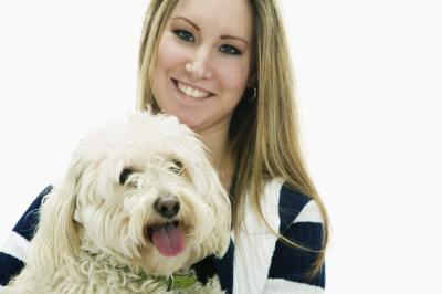 Dog Friendly Motels Along I Dog Friendly Motels Along I