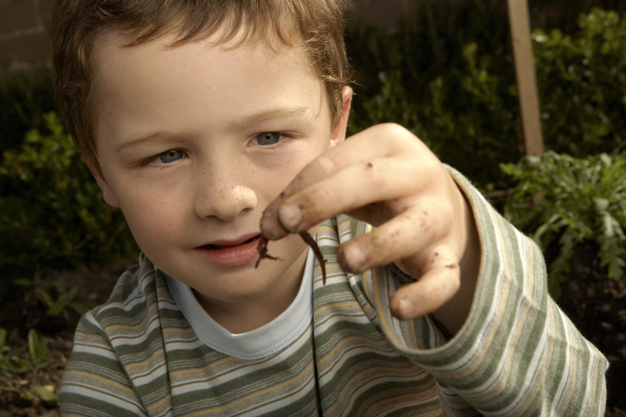 Insidious worms: symptoms in a child and an adult Insidious worms: symptoms in a child and an adult