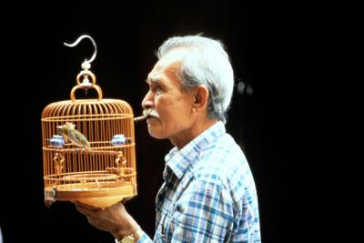 The cage should be at least twice the size of the bird's wingspan.