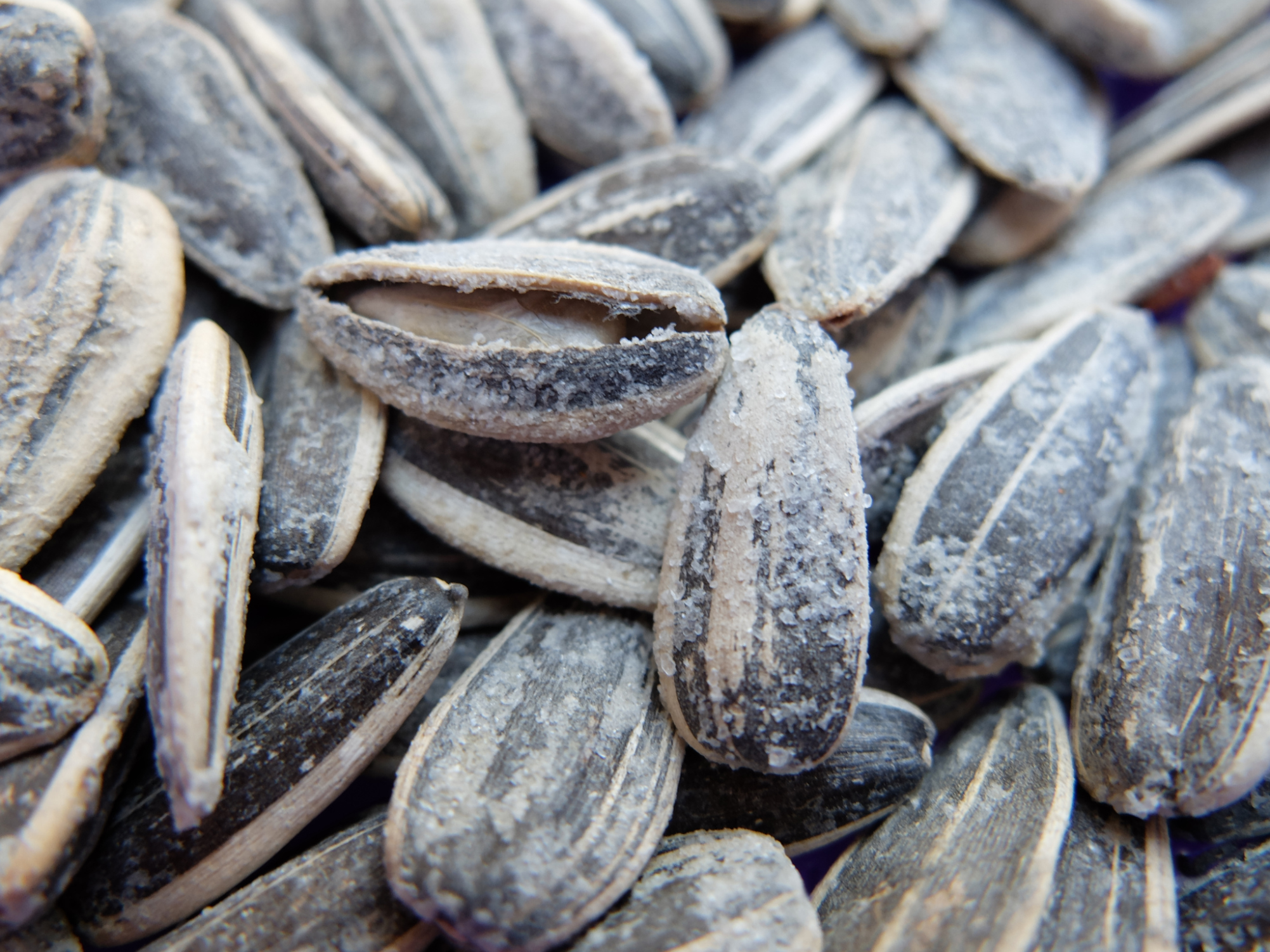 Carbohydrates in Hazelnuts Healthfully