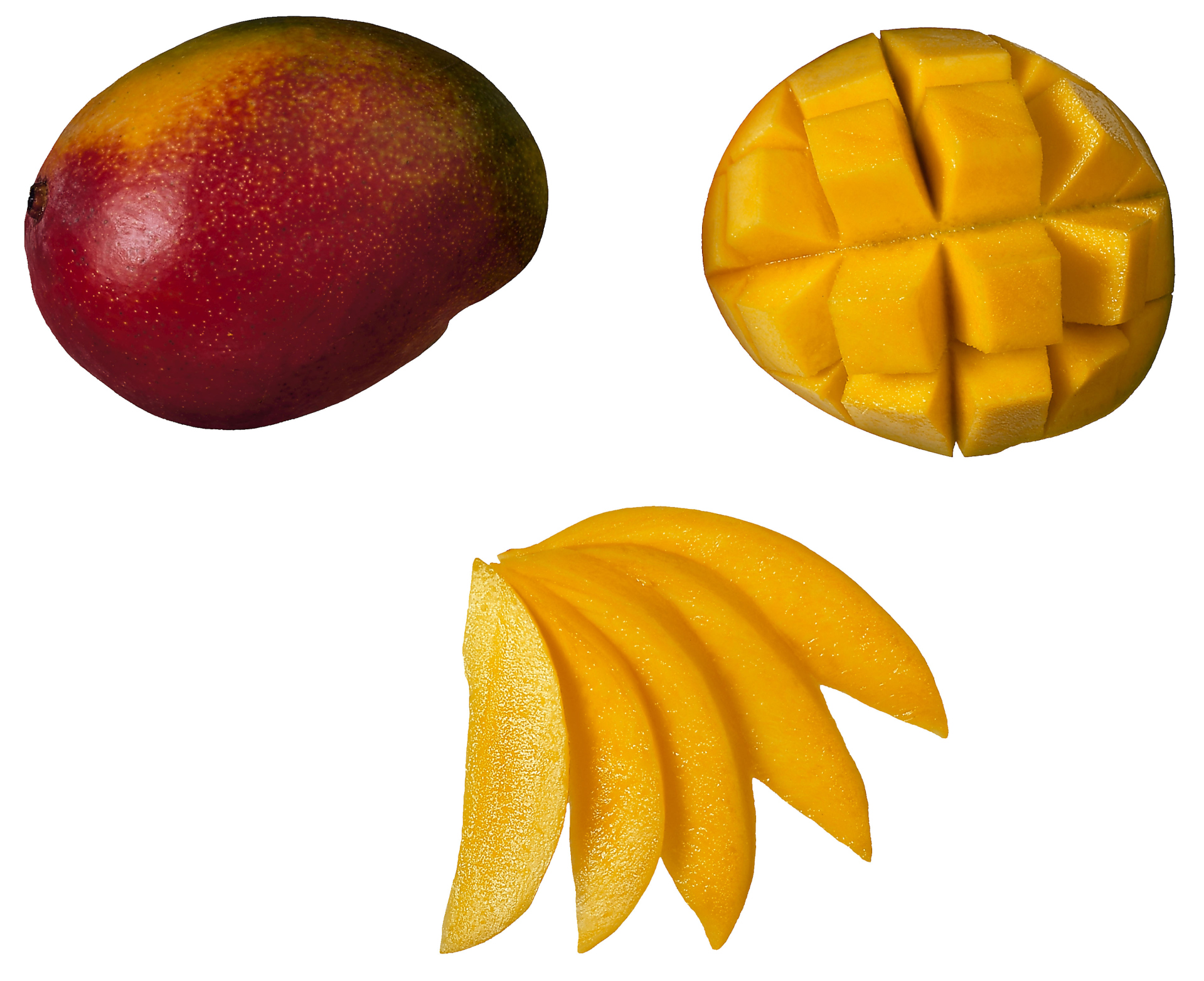 Mangoes 101 Everything You Need To Know About Mango