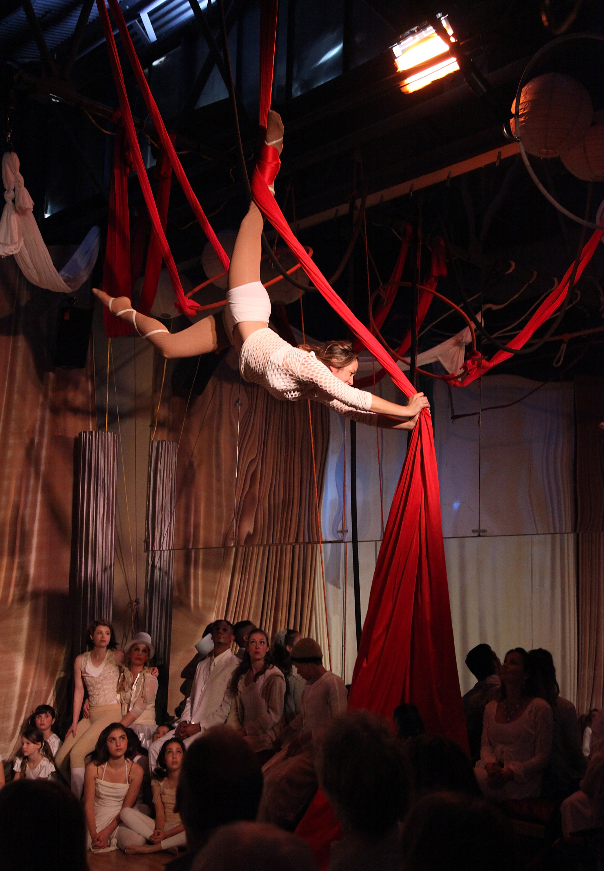 salary-for-a-trapeze-artist-sapling