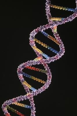 3D DNA Model Project Ideas