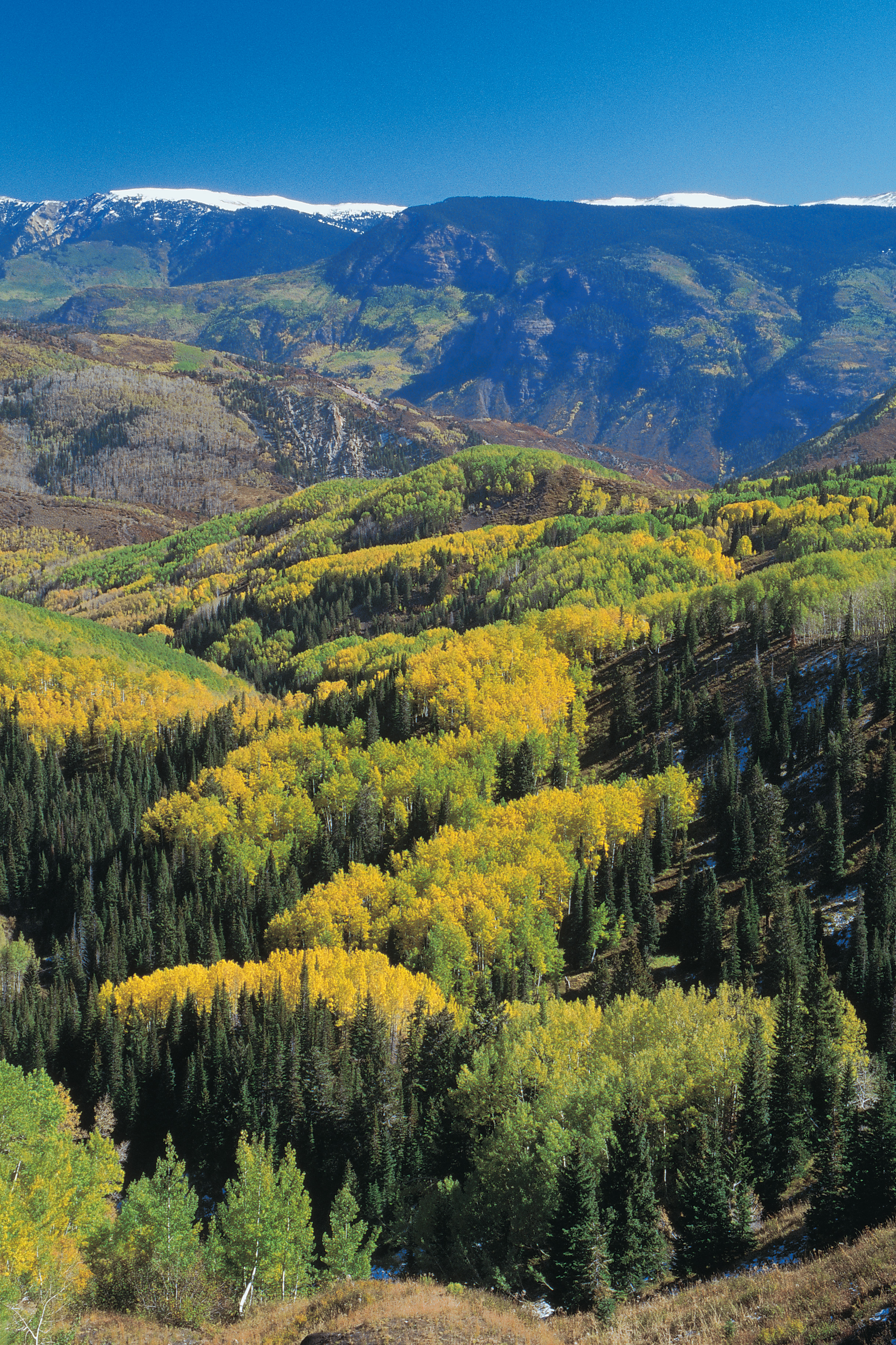 Cool Places to Camp in Colorado for the Fourth of July | USA Today