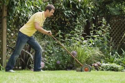 grass clippings in garden