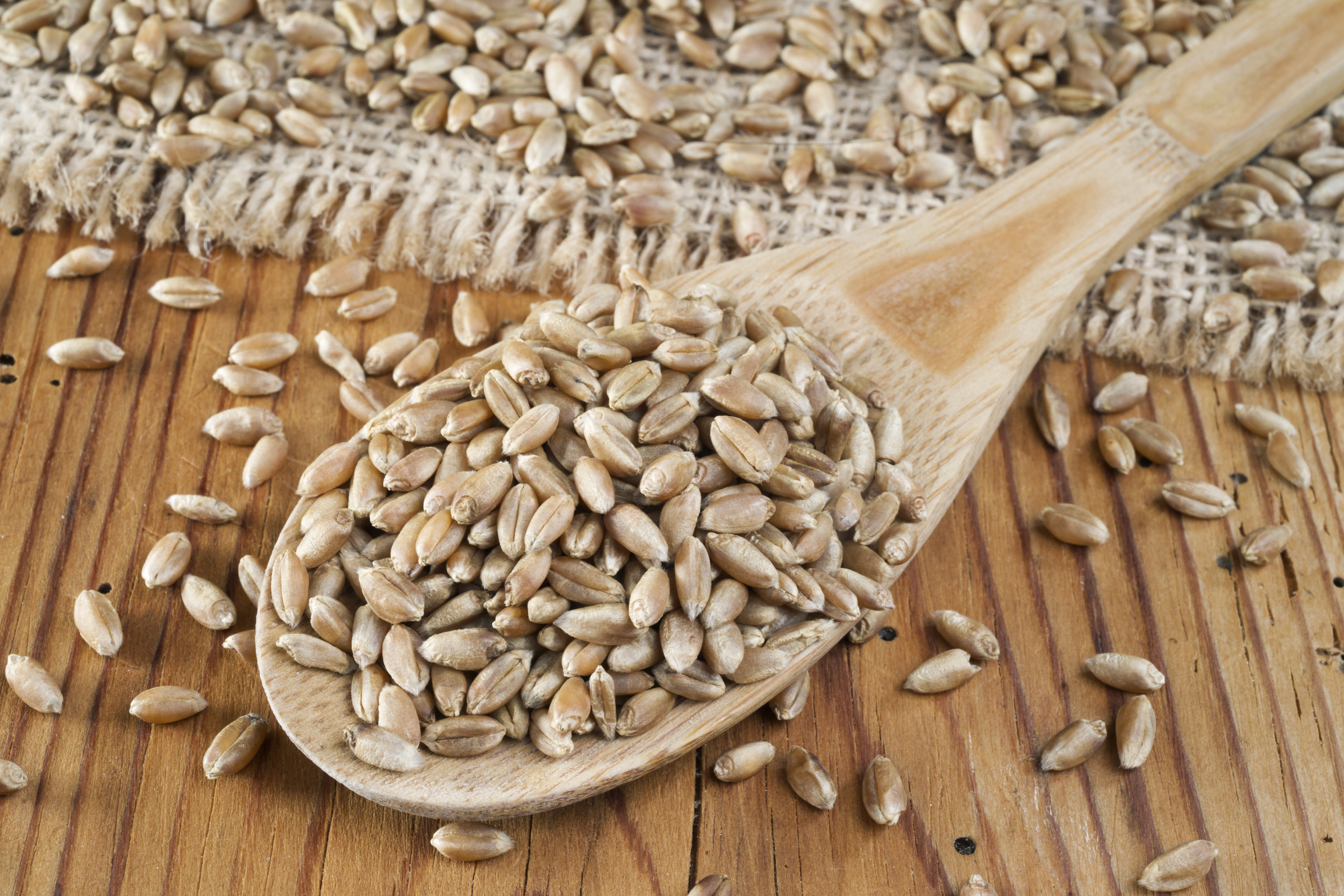 wheat-germ-estrogen-healthfully